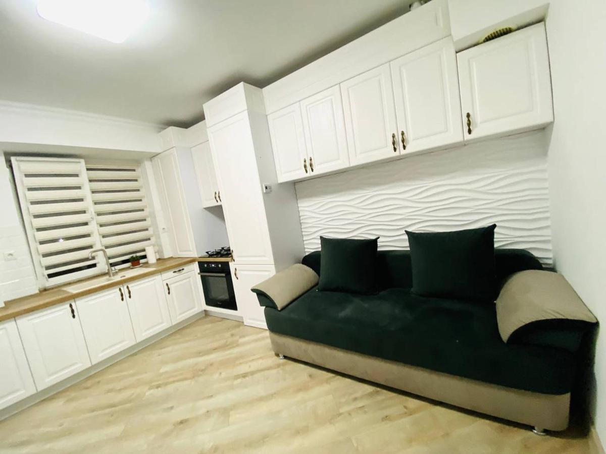Central Eco View Apartment Chişinău Eksteriør billede